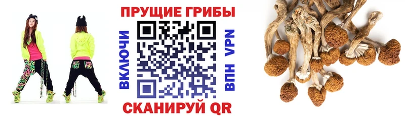 Галлюциногенные грибы Magic Shrooms  Купить где  Таштагол 