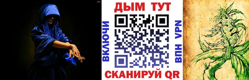 Бошки марихуана сатива  Купить где  Таштагол 